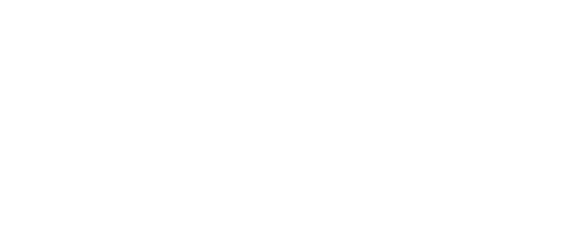 Dr. Dheyzonn Dannemann